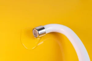 10 Gründe für einen Installateur Notdienst in Wunstorf